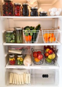 fridge goals